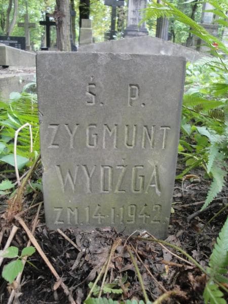 Zdjęcie grobu Zygmunt Wydźga (1)