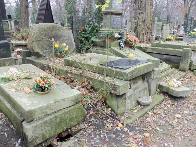 Zdjęcie grobu Tekla Piotrowska (1)