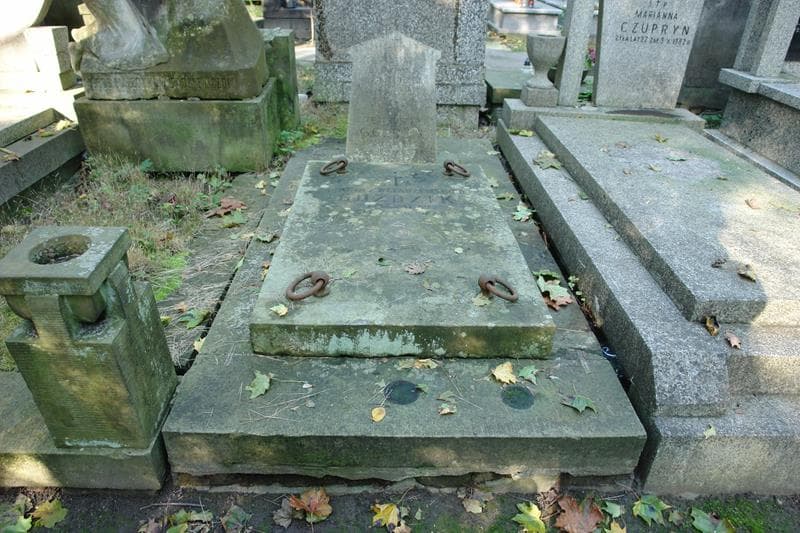 Zdjęcie grobu Franciszek Goździk (1)