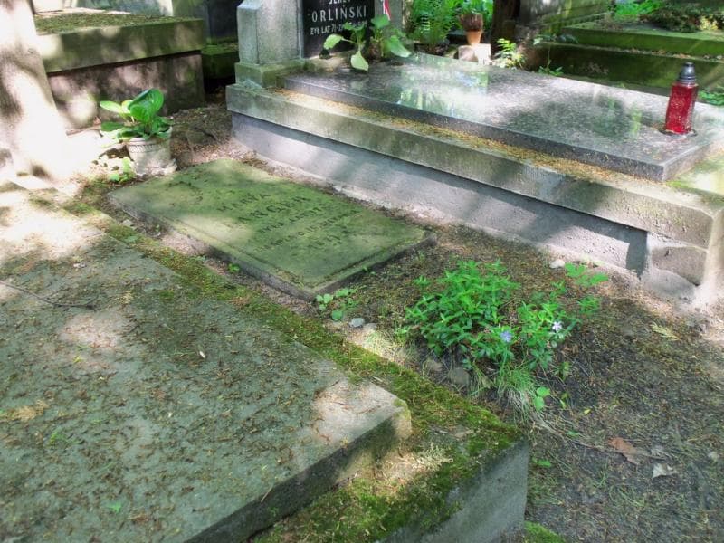 Zdjęcie grobu Marya Langer (1)