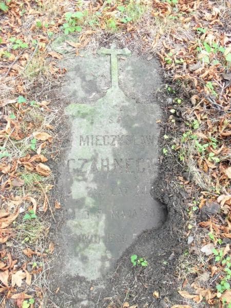 Zdjęcie grobu Mieczysław Czarnecki (2)