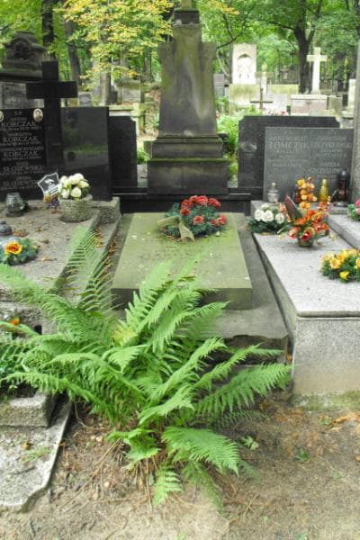 Zdjęcie grobu Maria Makowska (1)