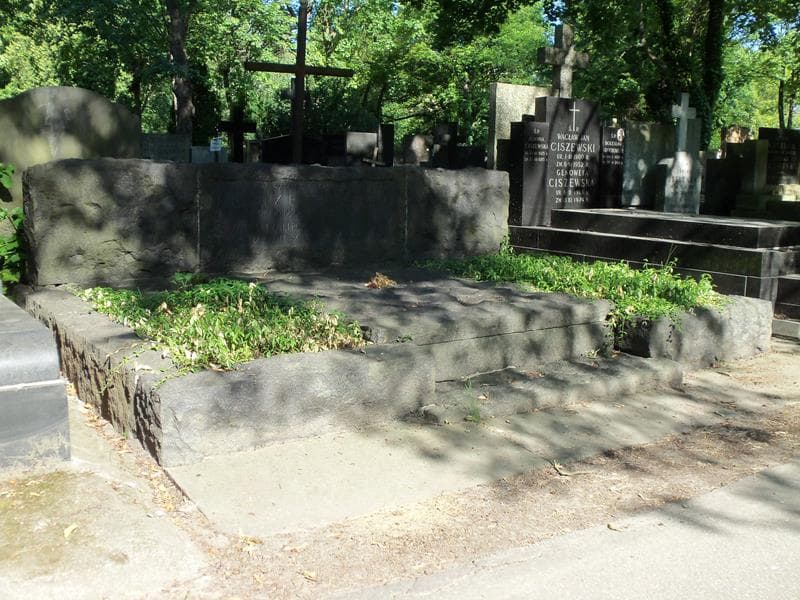 Zdjęcie grobu Tadeusz Zdzisław Dulczewski (1)