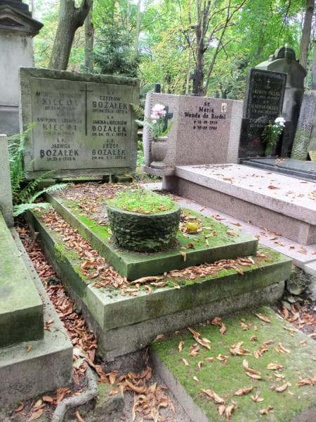 Zdjęcie grobu Janina Bożałek (1)