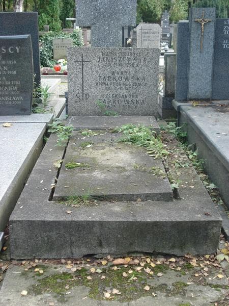 Zdjęcie grobu: Wanda Tarkowska