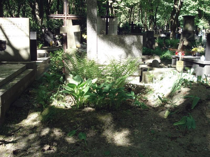 Zdjęcie grobu: Bronuś Malinowski