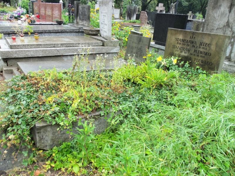 Zdjęcie grobu Stanisław Plewako (1)
