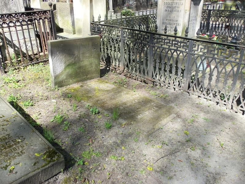 Zdjęcie grobu Florian Erazm Francikowski (1)