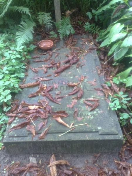 Zdjęcie grobu Tadeusz Ewaryst Kozłowski (2)