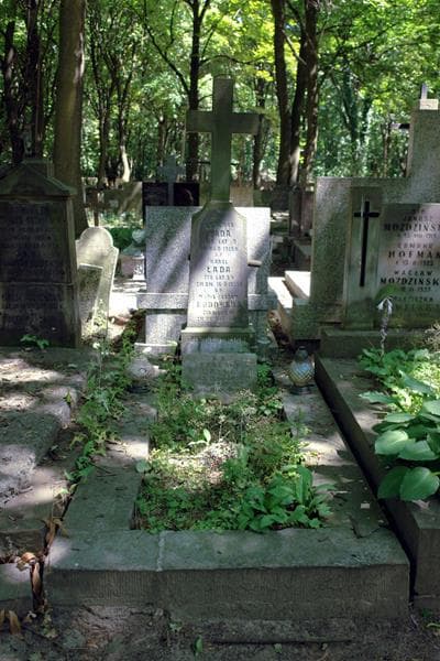 Zdjęcie grobu: Eugenia Dryll
