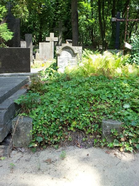 Zdjęcie grobu: Gabryel Kazimierz Lubicz - Zaleski