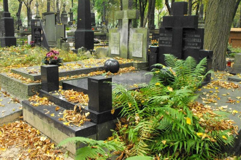 Zdjęcie grobu Józef Mieczysław Kozłowski (1)