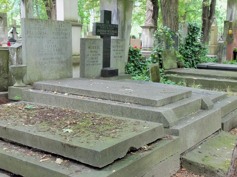 Zdjęcie grobu Stanisław Podgórski (1)