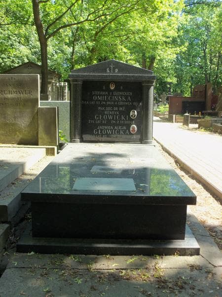 Zdjęcie grobu: Henryk Głowicki