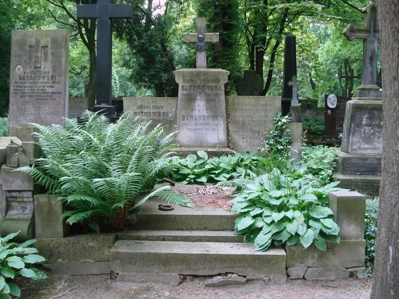 Zdjęcie grobu Teresa Baranowska (1)