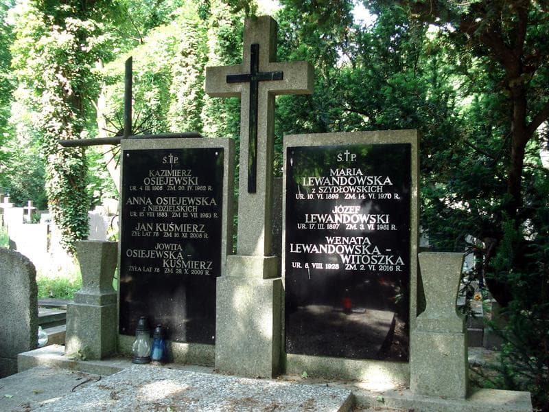 Zdjęcie grobu Józef Lewandowski (1)