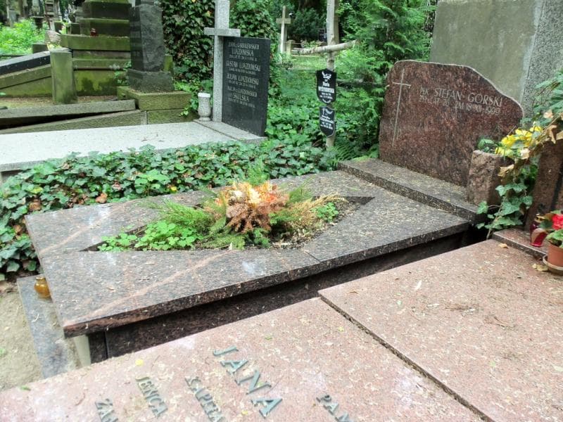 Zdjęcie grobu Stefan Górski (1)