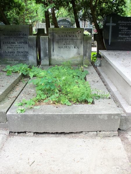 Zdjęcie grobu: Henryk Majewski
