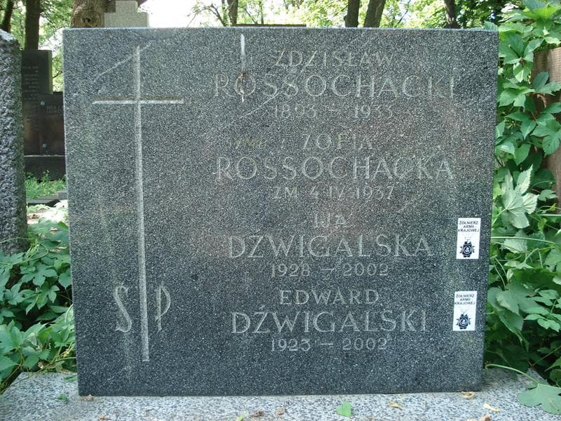 Zdjęcie grobu Edward Dźwigalski (2)