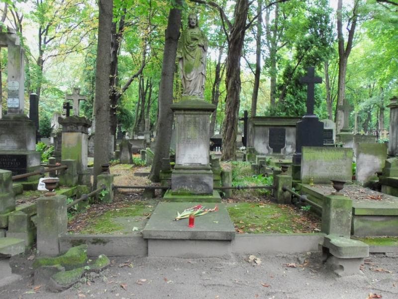 Zdjęcie grobu: Ładysław Juljan Żera