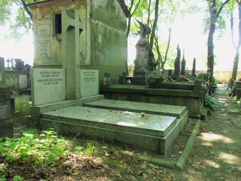 Zdjęcie grobu Antoni Dzienis (1)