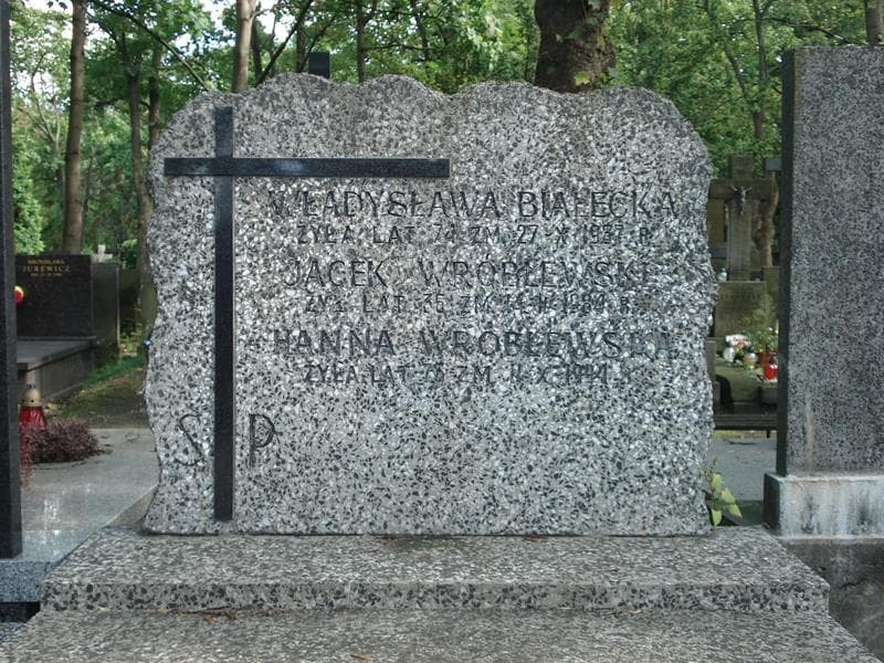 Zdjęcie grobu Władysława Białecka (2)
