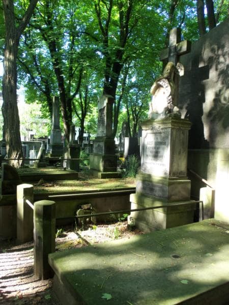 Zdjęcie grobu Florentyna Brzowska (1)