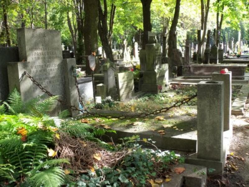 Zdjęcie grobu Jadwiga Olszewska (1)