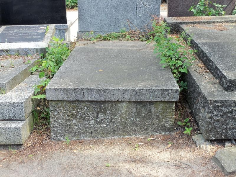 Zdjęcie grobu: Włodzimierz Goldman