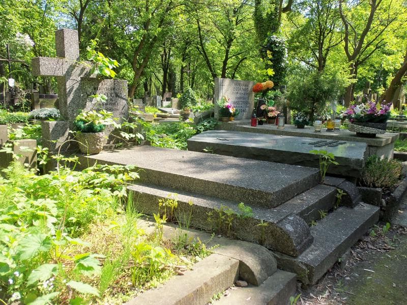 Zdjęcie grobu Olga Wysocka (1)
