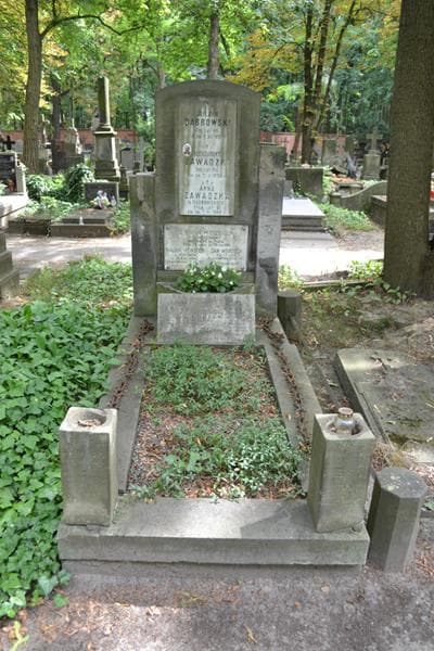 Zdjęcie grobu Juljan Dąbrowski (1)