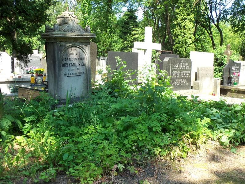 Zdjęcie grobu Marja Budziszewska (1)