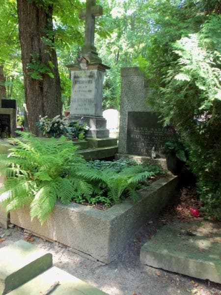 Zdjęcie grobu Ludwik Madejski (1)