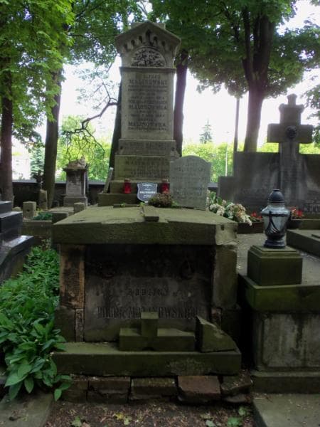 Zdjęcie grobu: Henryk Malinowski