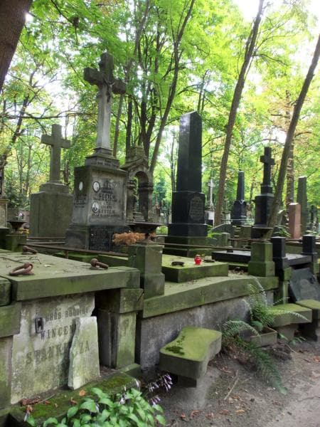 Zdjęcie grobu Ludwik Kozłowski (1)