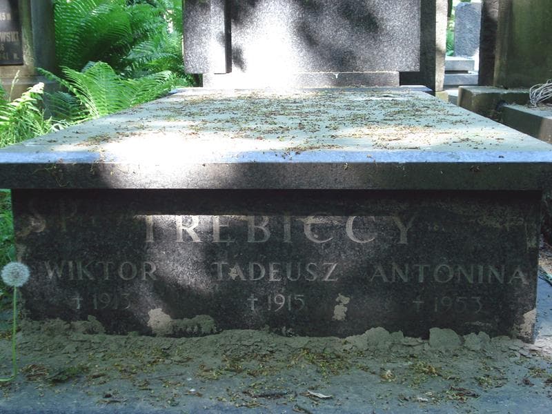 Zdjęcie grobu Wiktor Trębicki (1)
