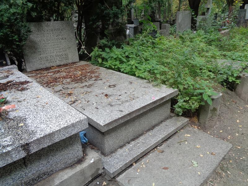 Zdjęcie grobu: Leon Domański
