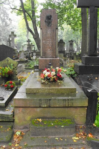 Zdjęcie grobu: Teodor Jaźwiński