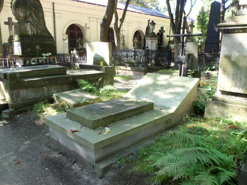 Zdjęcie grobu Janina Odrowąż-Straszewicz (1)