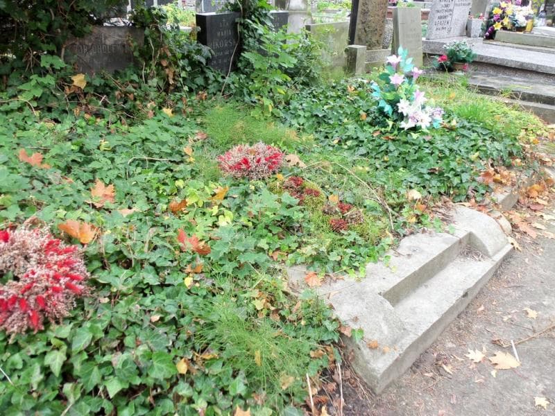 Zdjęcie grobu Wiktor Cholewiński (1)