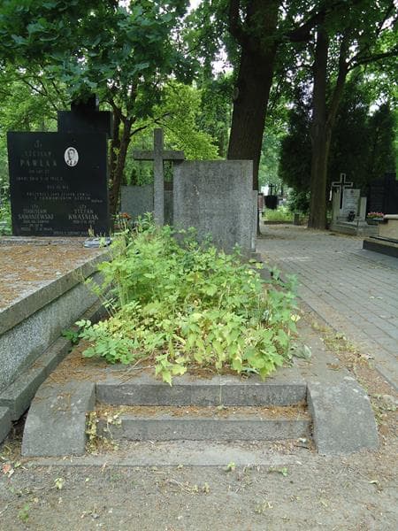 Zdjęcie grobu: Zofia Junosza-Stępowska