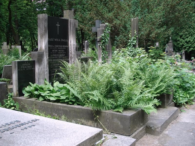 Zdjęcie grobu: Izabella Olicka