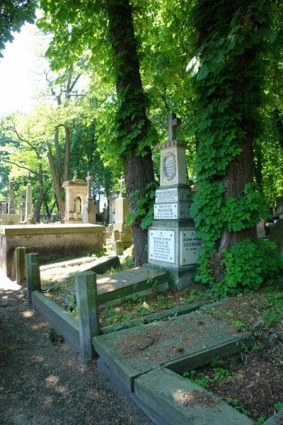 Zdjęcie grobu: Ferdynand Wilhelm Hoesick