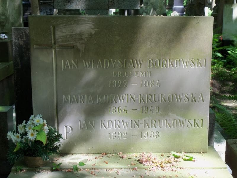 Zdjęcie grobu Jan Władysław Borowski (2)