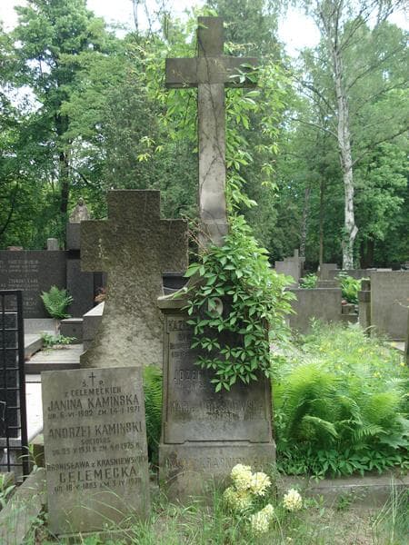 Zdjęcie grobu Józef Celemęcki (2)