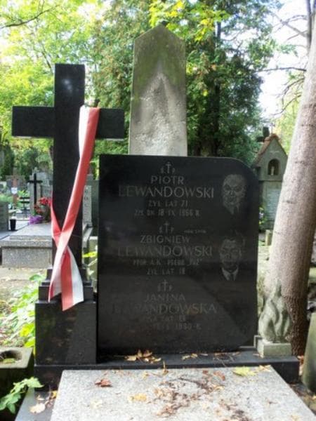 Zdjęcie grobu Janina Lewandowska (2)