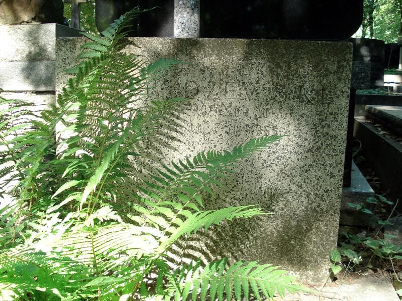 Zdjęcie grobu Henryk Rydzewski (1)