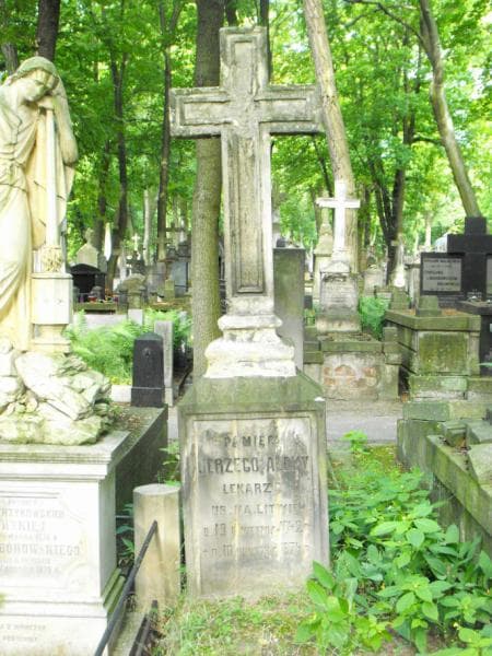 Zdjęcie grobu Jerzy Alexa (1)