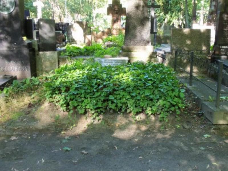 Zdjęcie grobu: Witold Żukowski