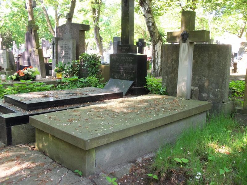 Zdjęcie grobu Józef Trzciński (1)